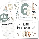45 Baby Meilensteinkarten Lino für Junge und Mädchen Meilenstein Karten Set + Geschenkbox schöne Geschenkidee zur Geburt, Taufe oder Babyparty (Tiere, weiß, Deutsch)