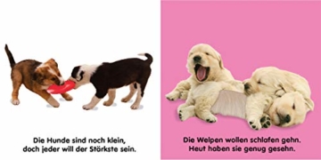 Mein Fühlbilderbuch. Hunde: Mit Reimen, Fühl- und Glitzerelementen - 3